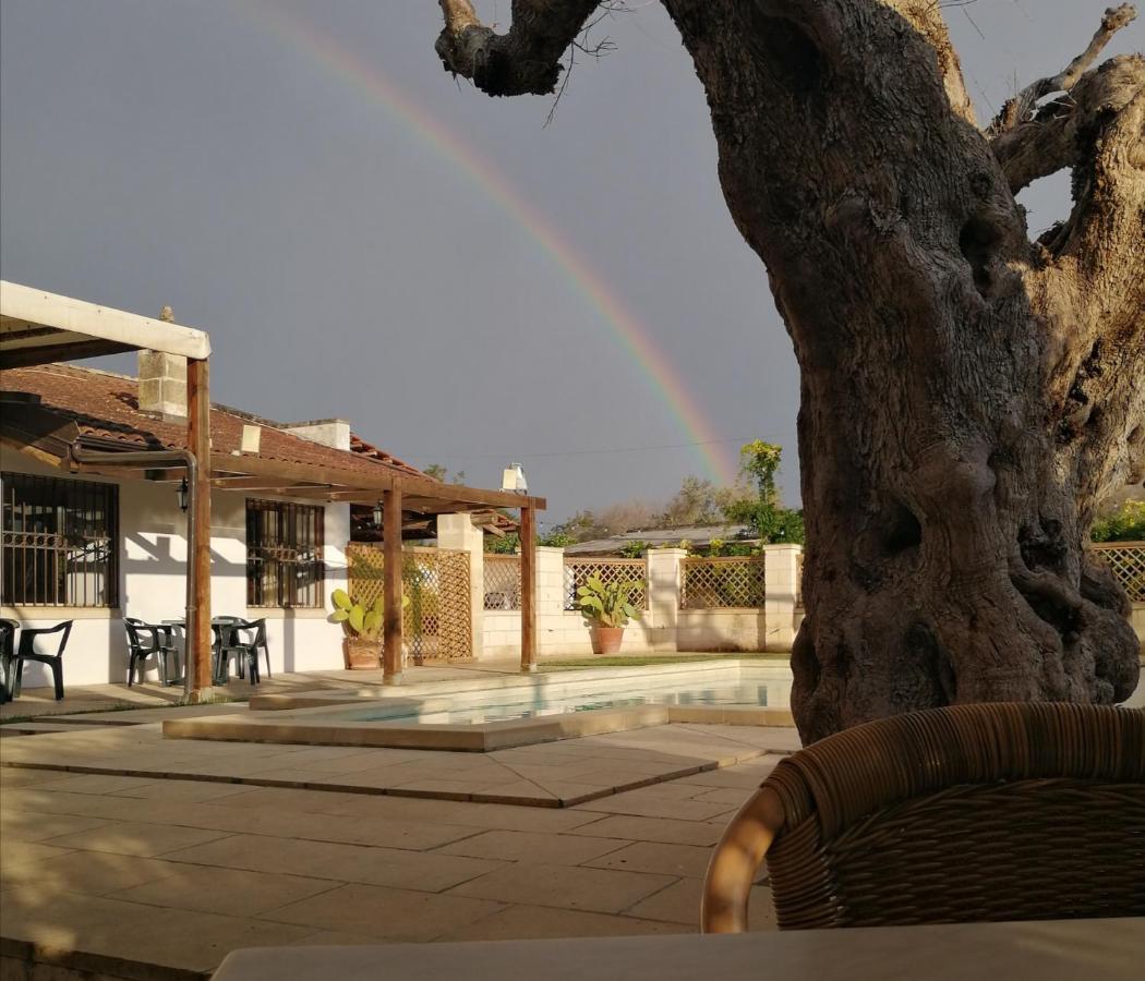 Casasalento Hotel Cavallino di Lecce Exterior photo